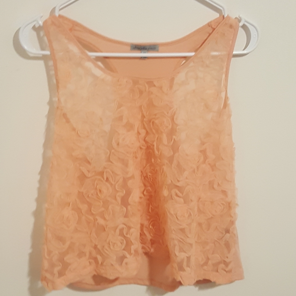 🌼3 for 22🌼Charlotte Russe Sheer Crop Tank